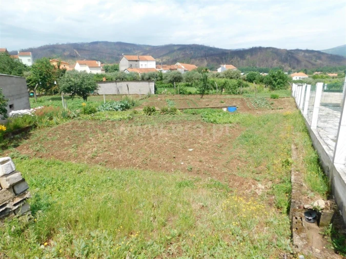 Terreno para Venda em Paul Foto 4