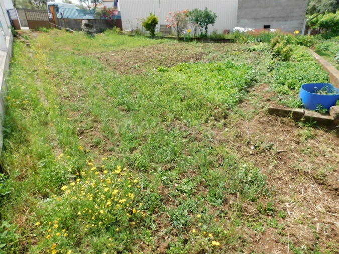 Terreno para Venda em Paul Foto 2