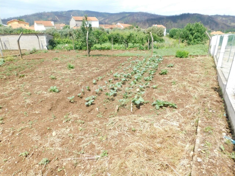 Terreno para Venda em Paul Foto 1