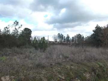 Quinta T0 para Venda em Ferro