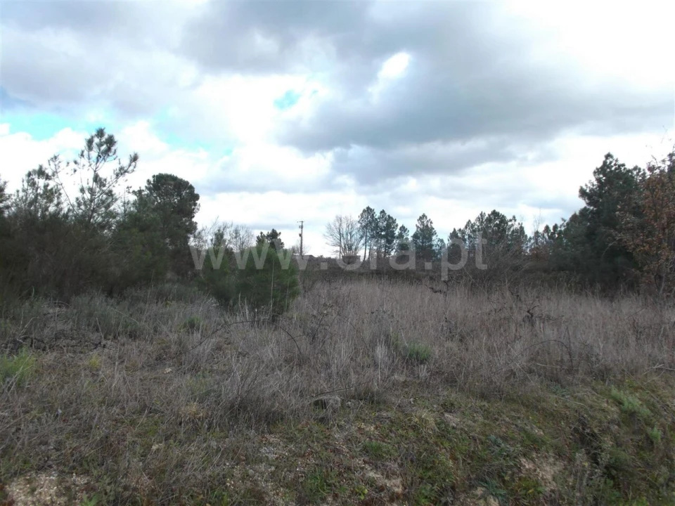 Quinta T0 para Venda em Ferro Foto 1