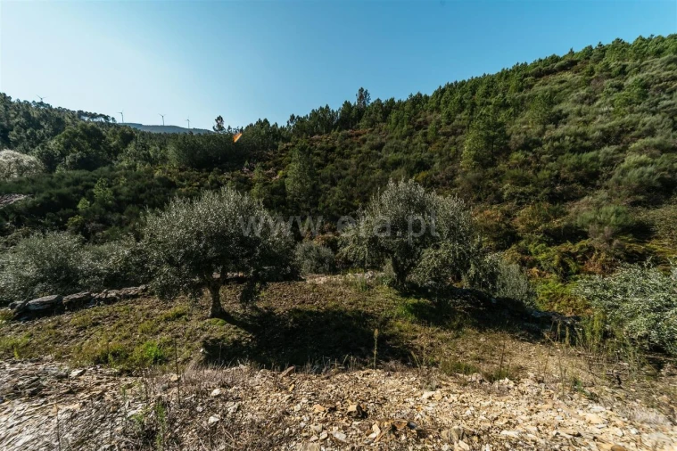 Quinta T0 para Venda em Castelejo Foto 7