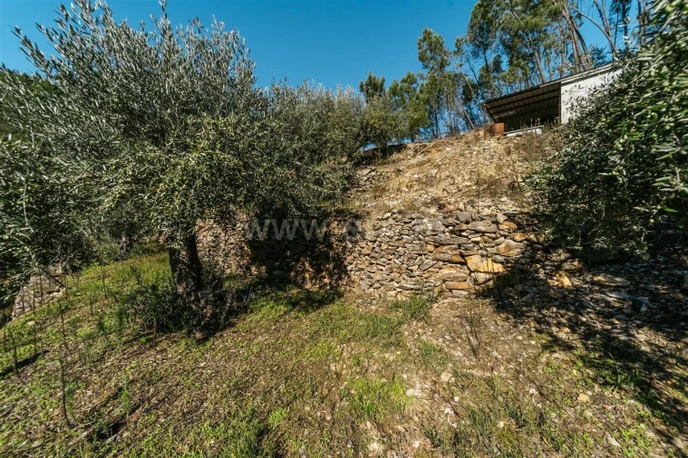 Quinta T0 para Venda em Castelejo Foto 13