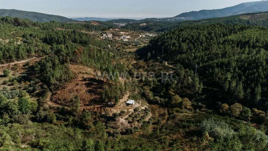 Quinta T0 para Venda em Castelejo Foto 4
