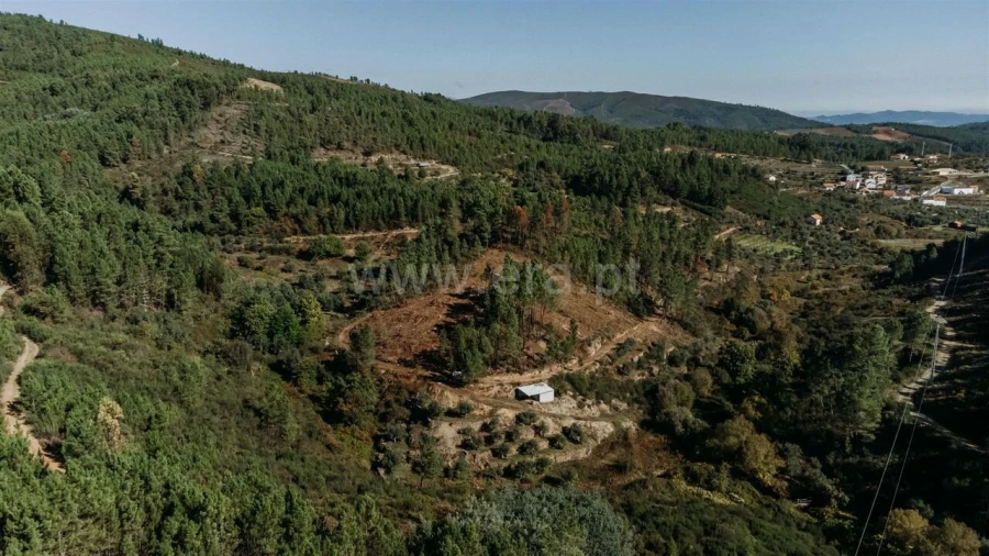 Quinta T0 para Venda em Castelejo Foto 2