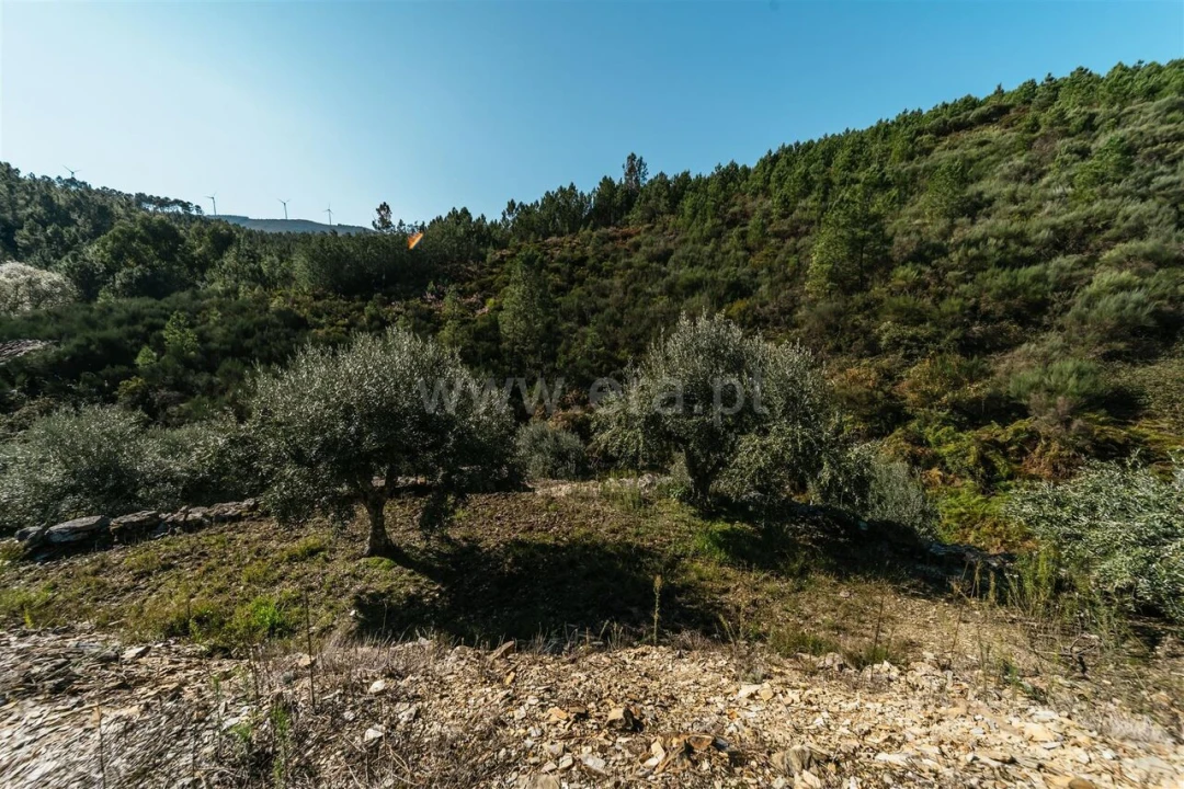 Quinta T0 para Venda em Castelejo Foto 7