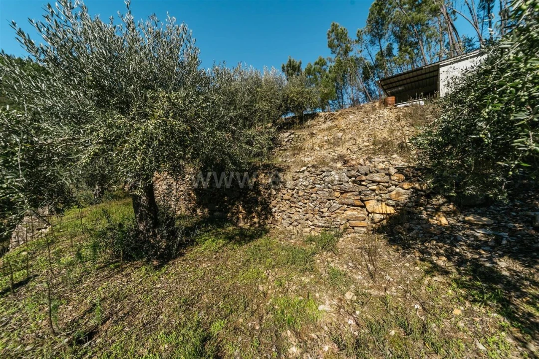 Quinta T0 para Venda em Castelejo Foto 13