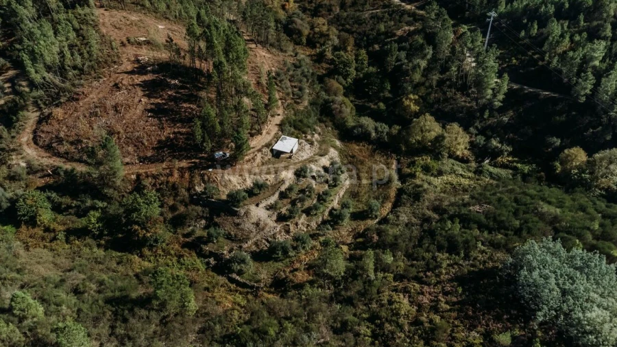 Quinta T0 para Venda em Castelejo