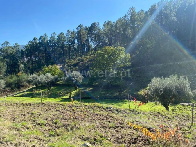 Quinta T0 para Venda em Castelejo Foto 2