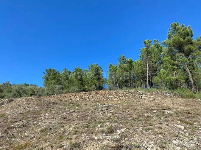 Quinta T0 para Venda em Castelejo Foto 5