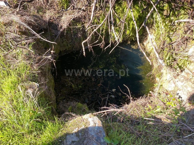 Quinta T0 para Venda em Castelejo Foto 12