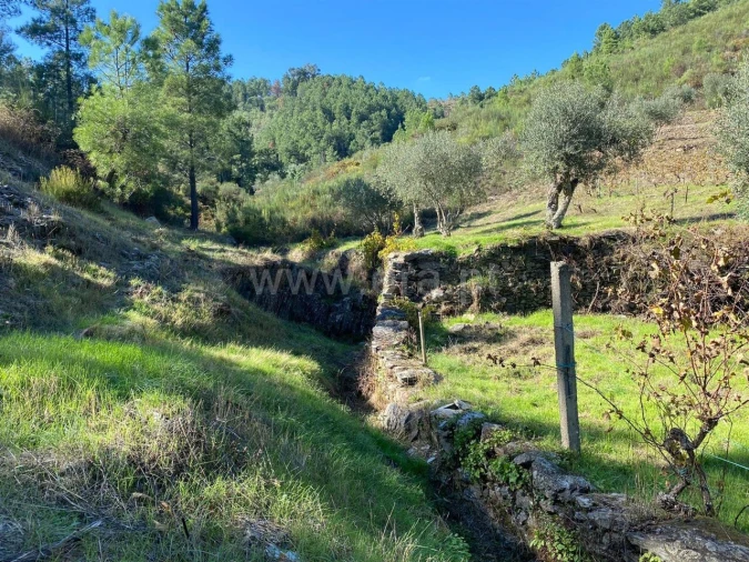 Quinta T0 para Venda em Castelejo Foto 10