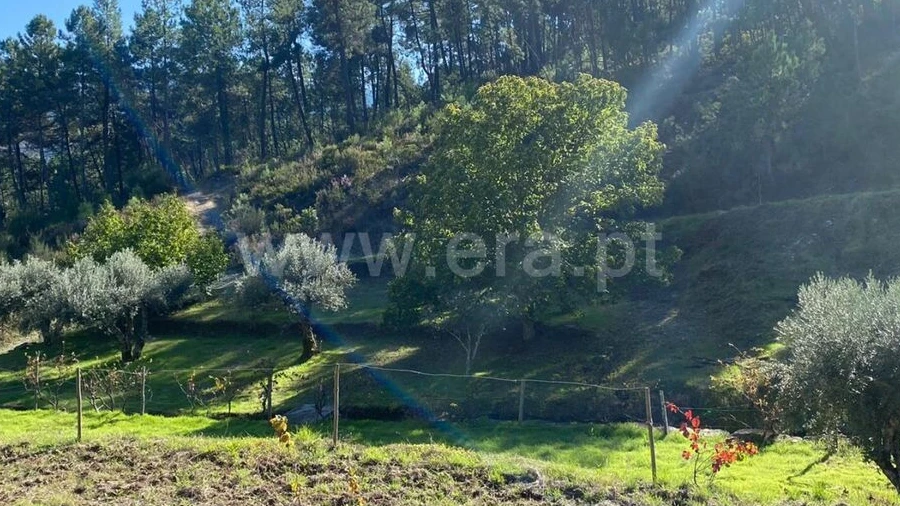 Quinta T0 para Venda em Castelejo