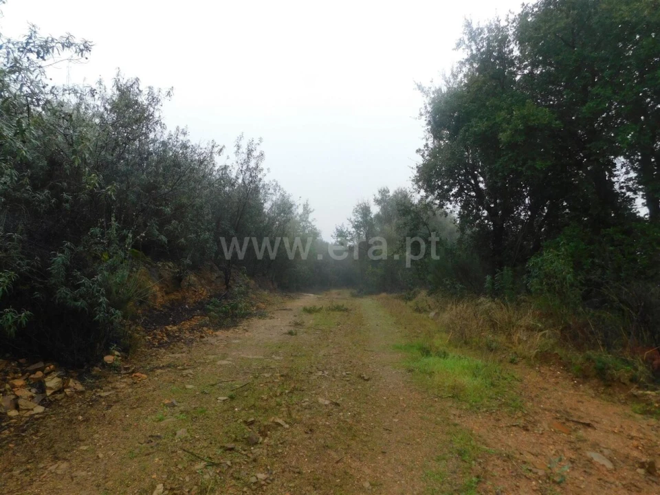 Terreno para Venda em Pero Viseu Foto 5