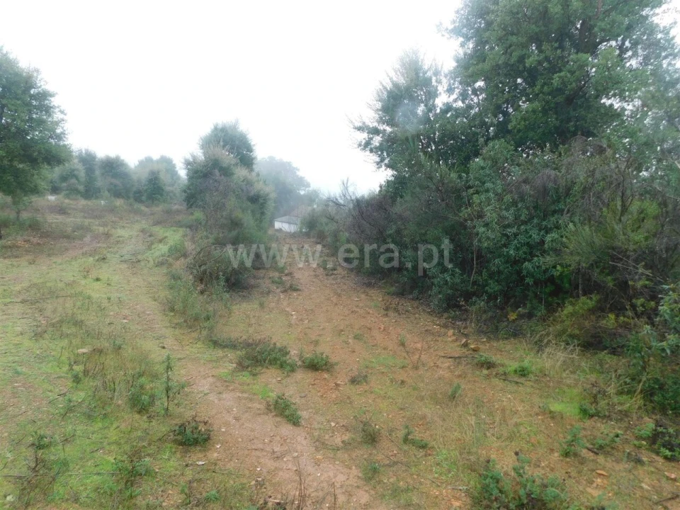 Terreno para Venda em Pero Viseu Foto 2