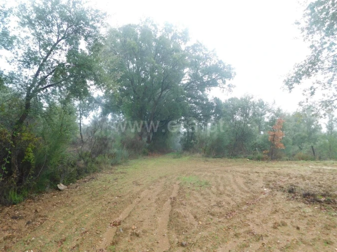Terreno para Venda em Pero Viseu Foto 9