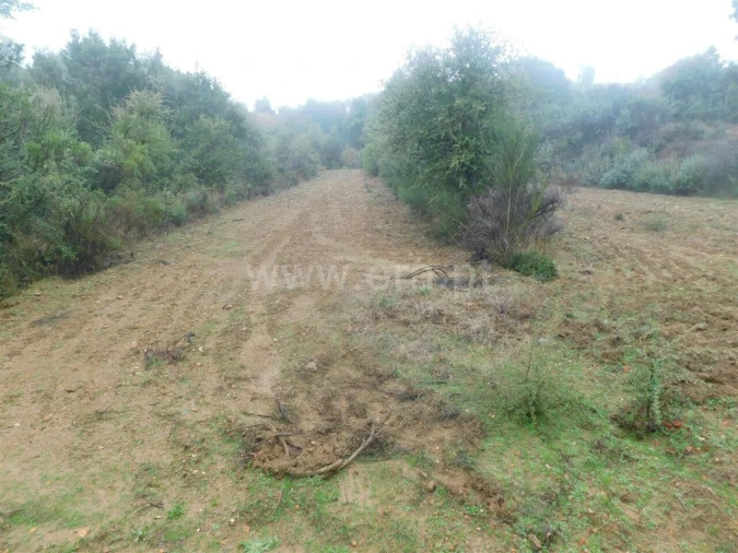 Terreno para Venda em Pero Viseu Foto 8