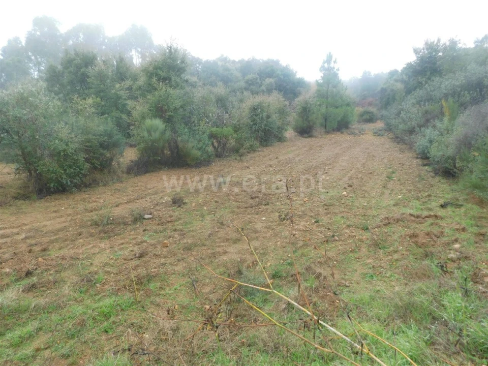 Terreno para Venda em Pero Viseu Foto 7