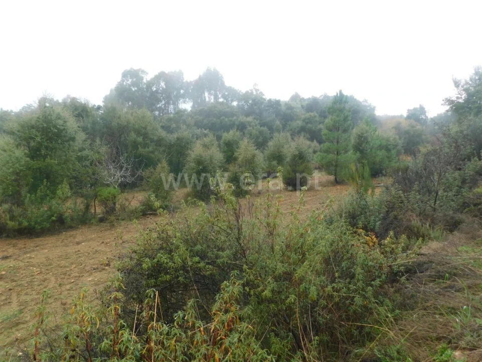 Terreno para Venda em Pero Viseu Foto 11