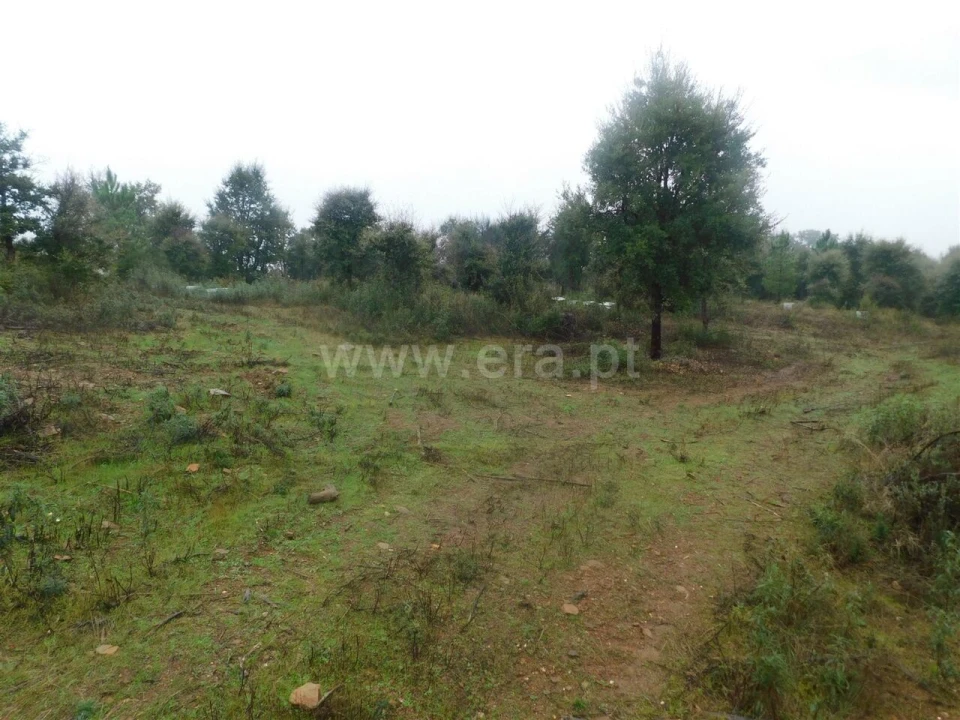 Terreno para Venda em Pero Viseu Foto 12