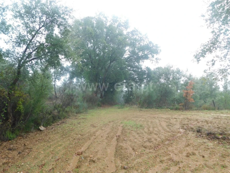 Terreno para Venda em Pero Viseu Foto 9