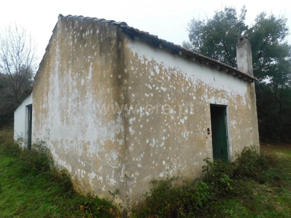 Terreno para Venda em Pero Viseu Foto 3