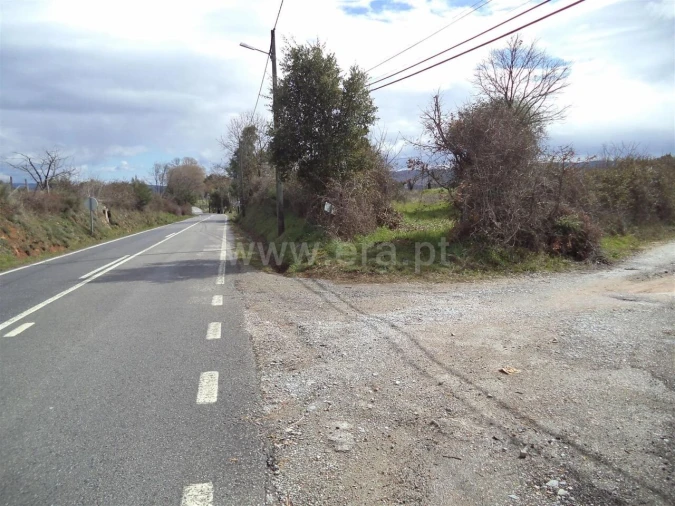 Terreno para Venda em Pero Viseu Foto 2