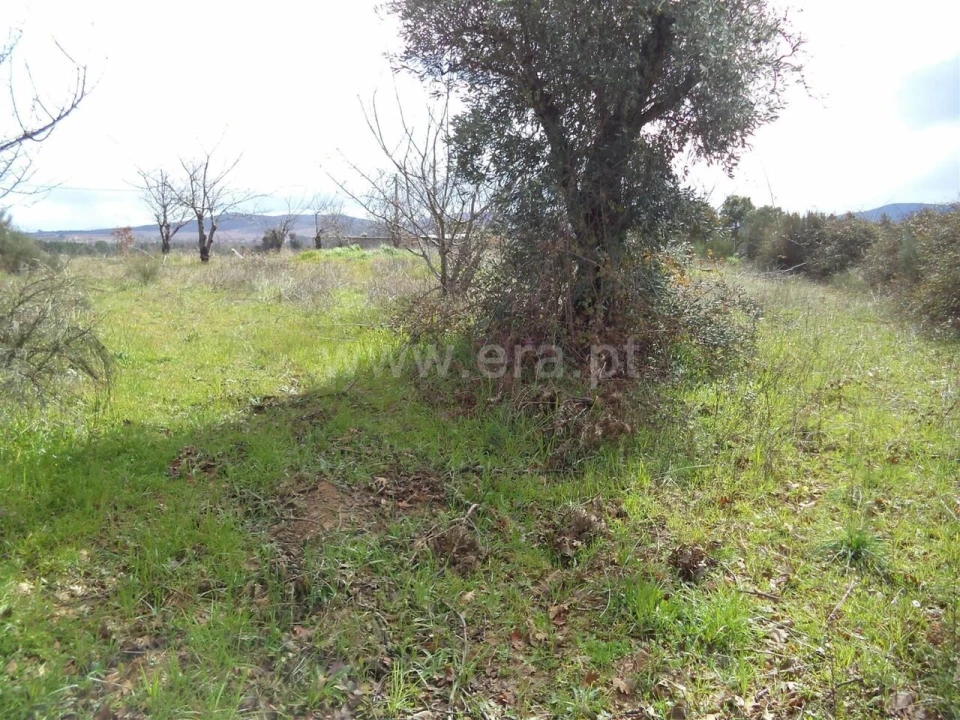 Terreno para Venda em Pero Viseu Foto 1