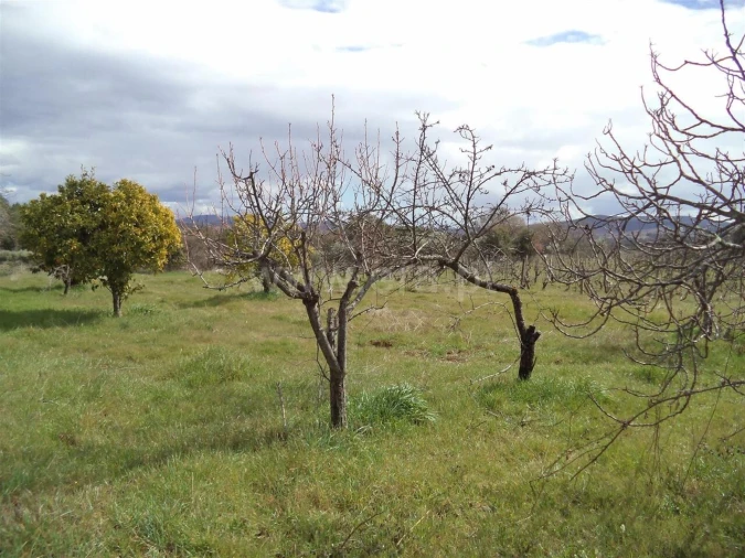 Terreno para Venda em Pero Viseu Foto 6