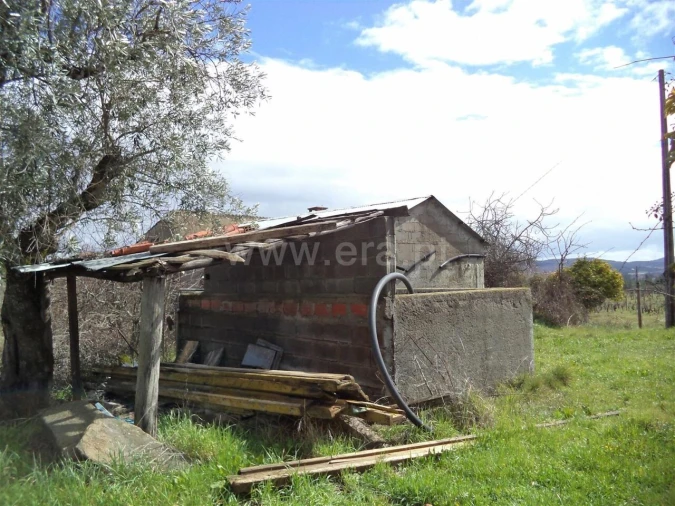 Terreno para Venda em Pero Viseu Foto 3