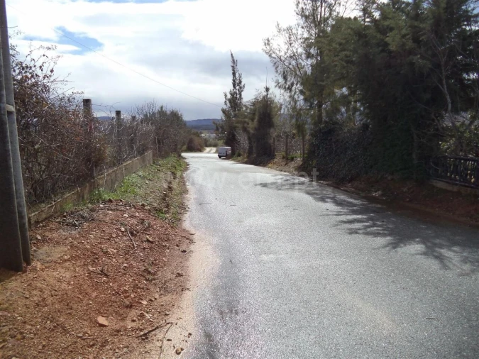 Terreno para Venda em Pero Viseu Foto 7