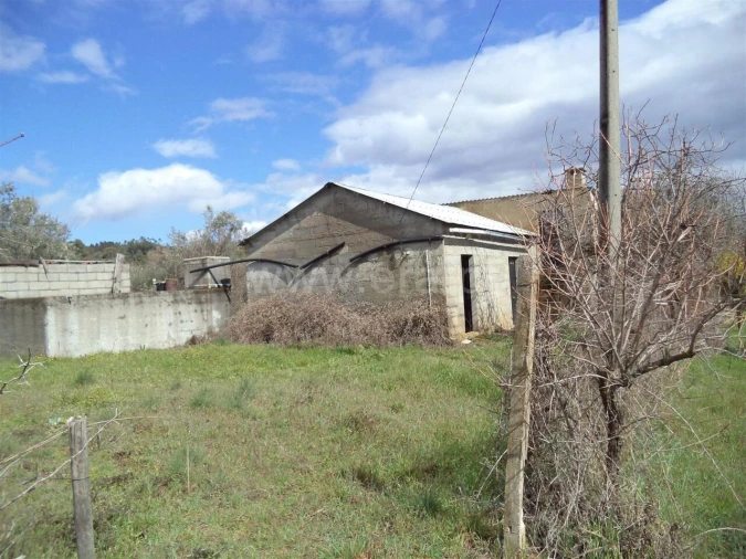Terreno para Venda em Pero Viseu Foto 2