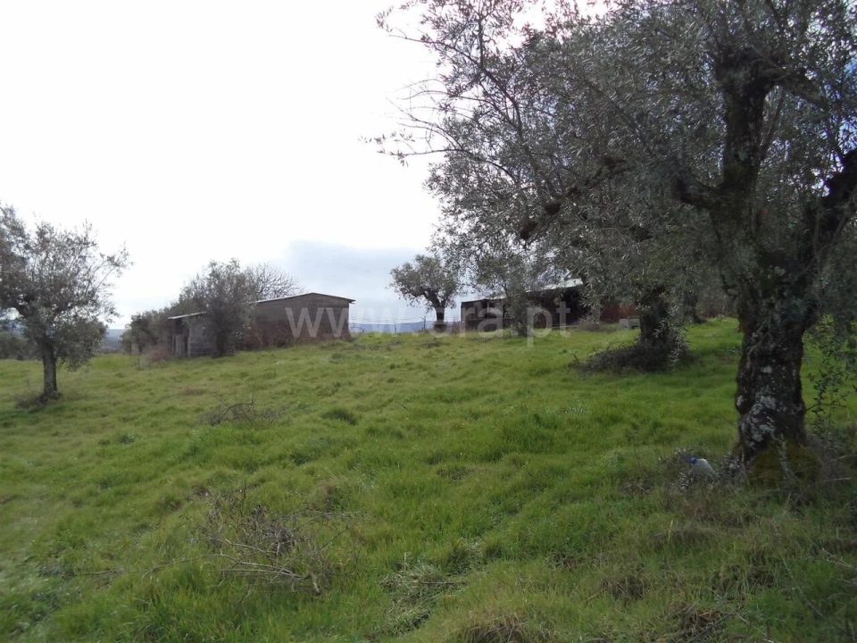Terreno para Venda em Pero Viseu Foto 1