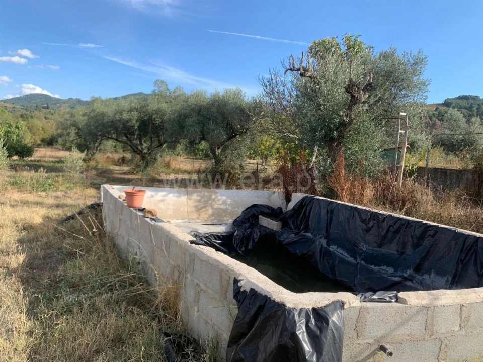 Terreno para Venda em Telhado Foto 7