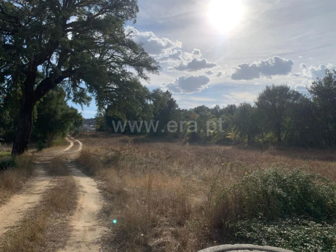 Terreno para Venda em Telhado Foto 20