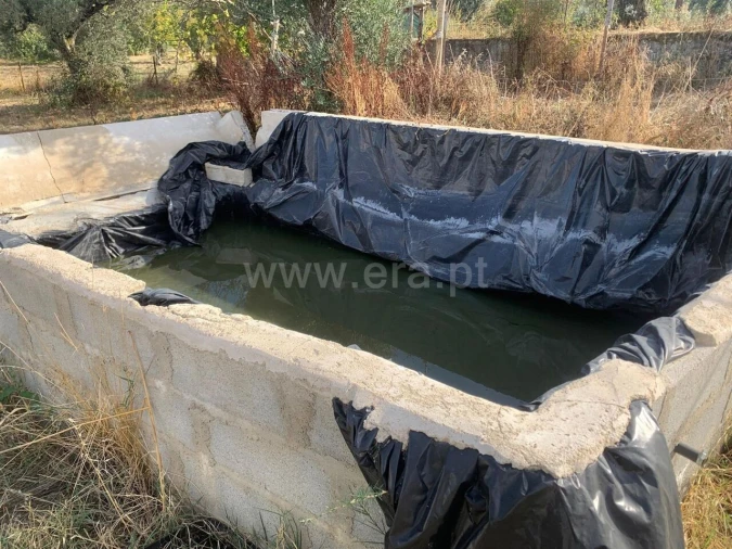 Terreno para Venda em Telhado Foto 8