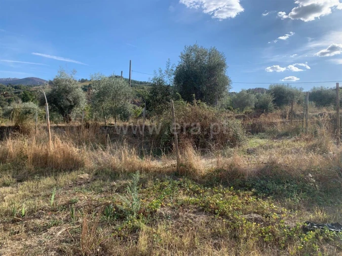 Terreno para Venda em Telhado Foto 5