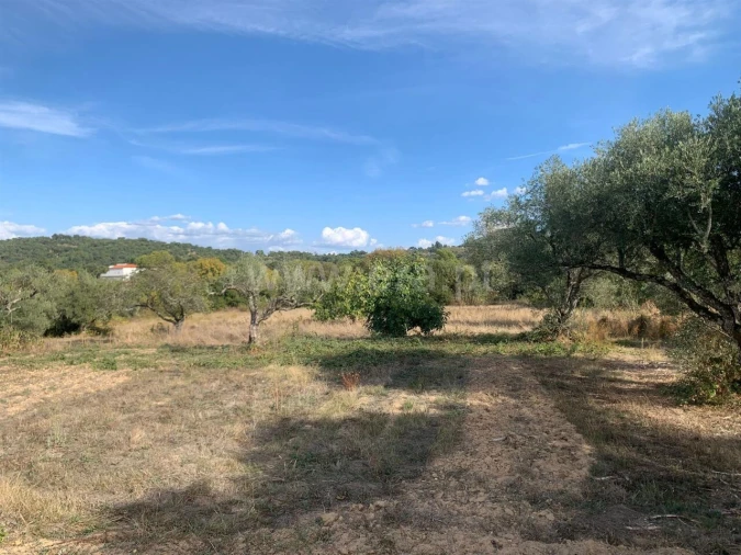 Terreno para Venda em Telhado Foto 11