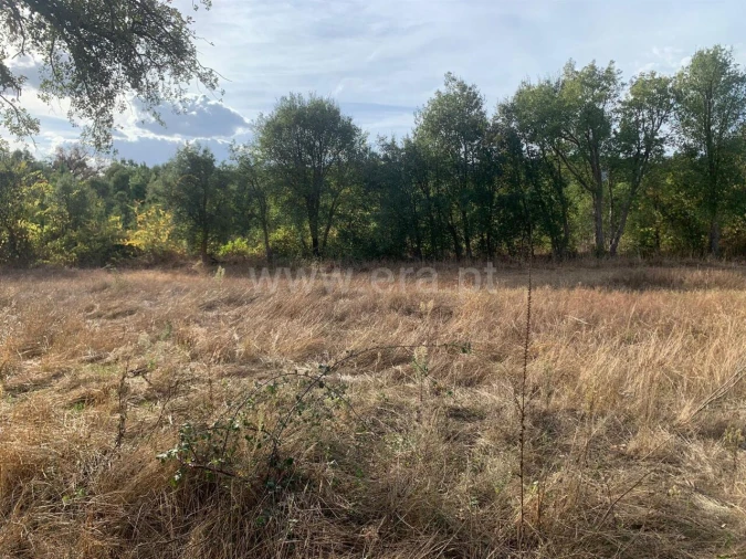 Terreno para Venda em Telhado Foto 18