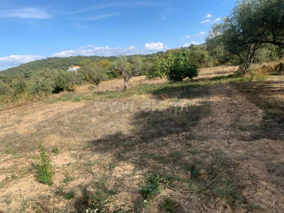 Terreno para Venda em Telhado Foto 12