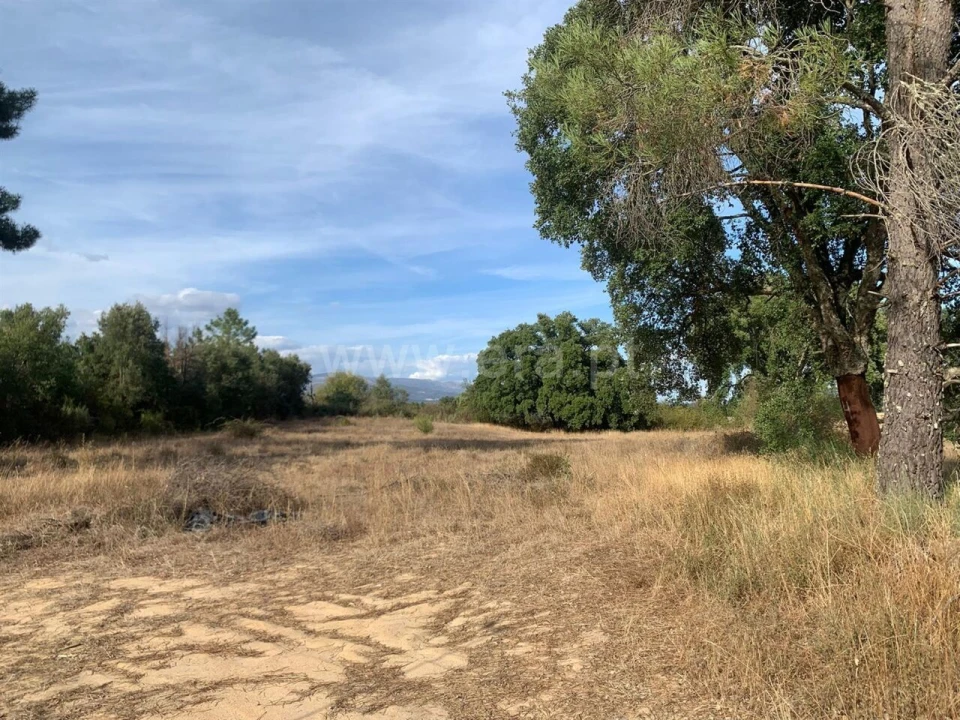 Terreno para Venda em Telhado Foto 4