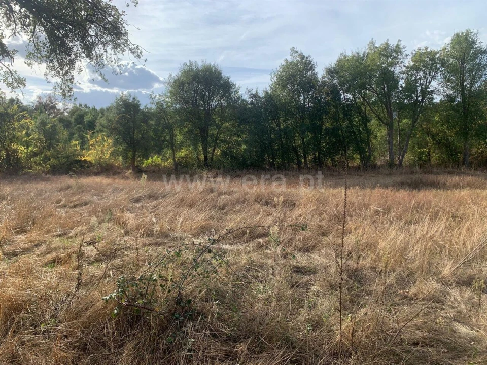 Terreno para Venda em Telhado Foto 18