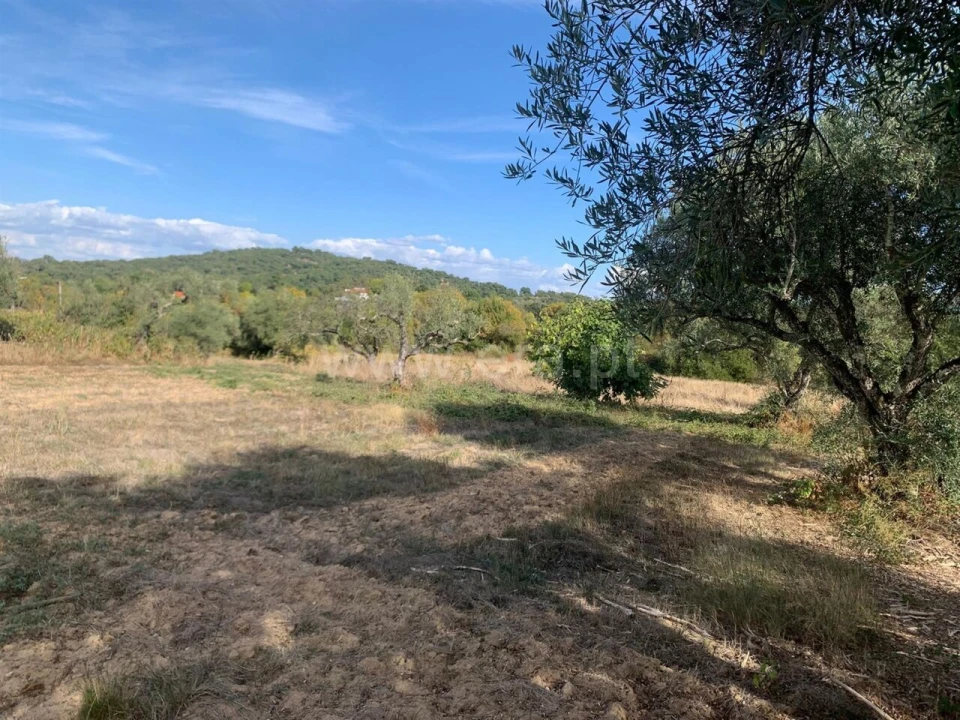 Terreno para Venda em Telhado Foto 13