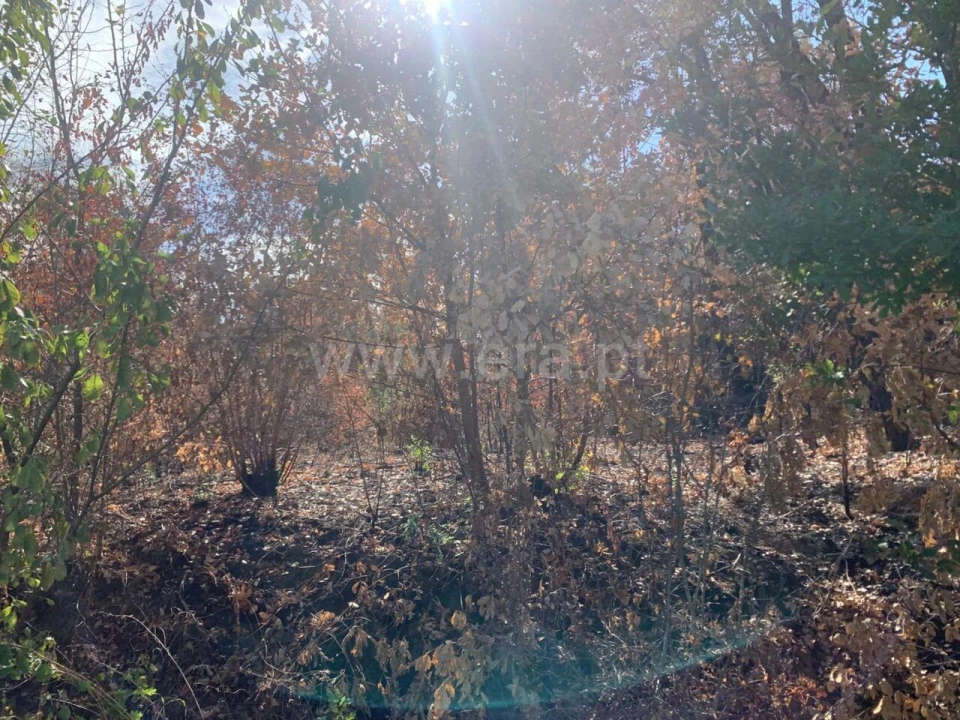 Terreno para Venda em Telhado Foto 3