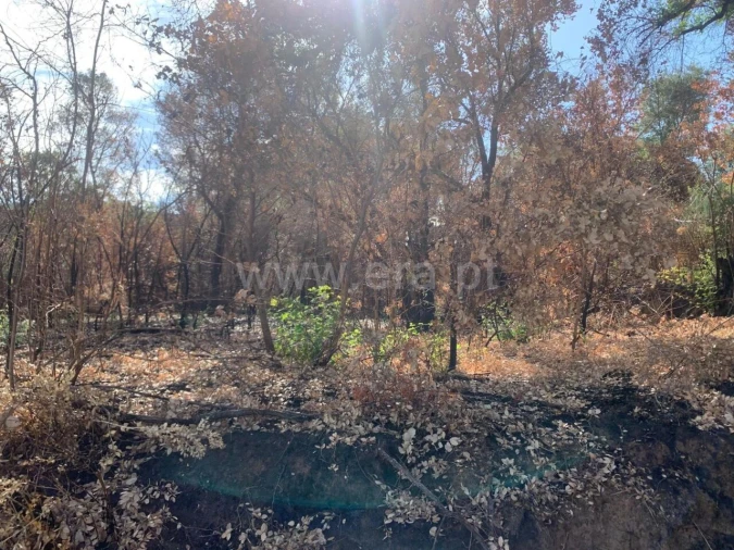 Terreno para Venda em Telhado Foto 4