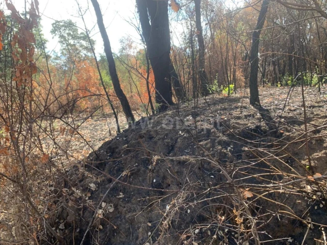 Terreno para Venda em Telhado Foto 5