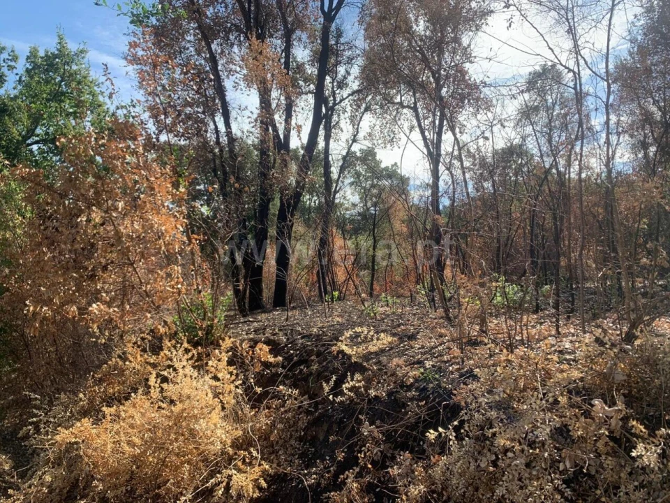Terreno para Venda em Telhado Foto 1