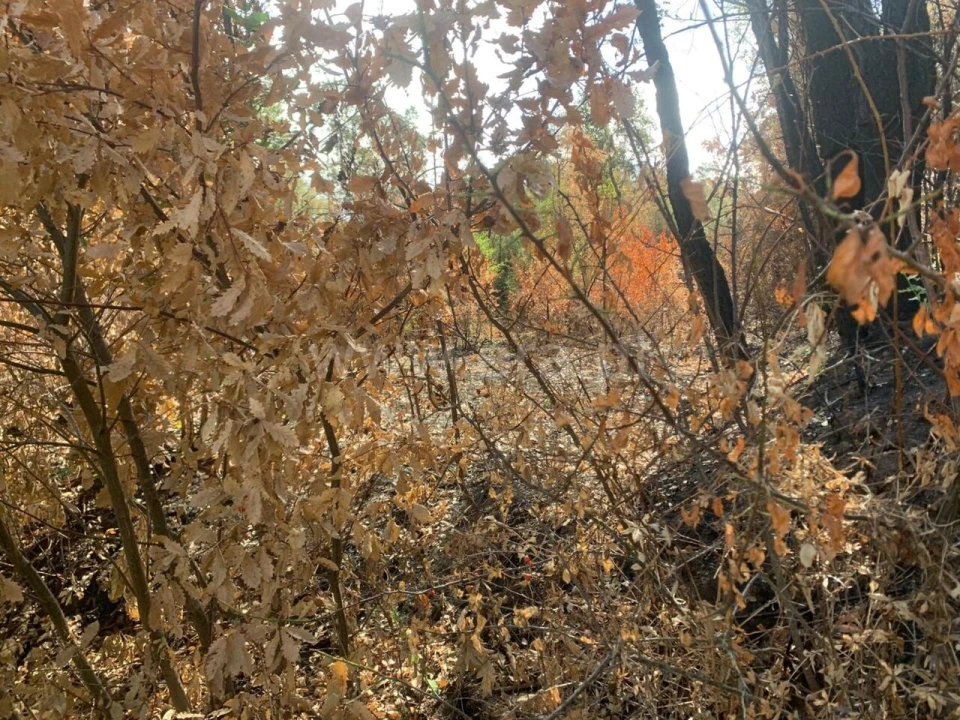 Terreno para Venda em Telhado Foto 2
