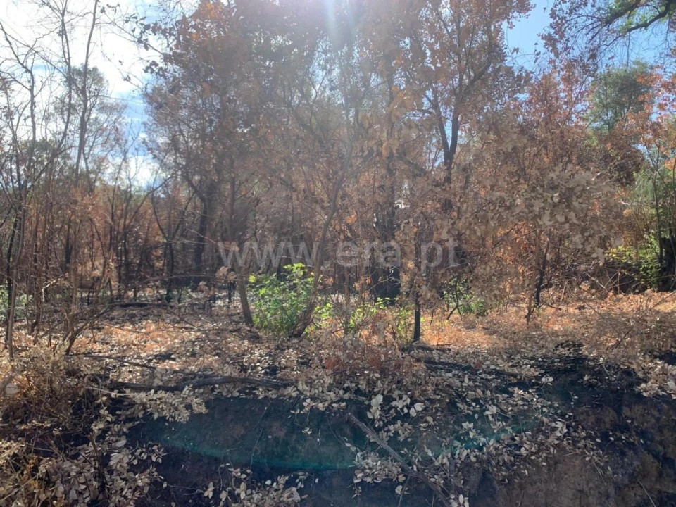 Terreno para Venda em Telhado Foto 4