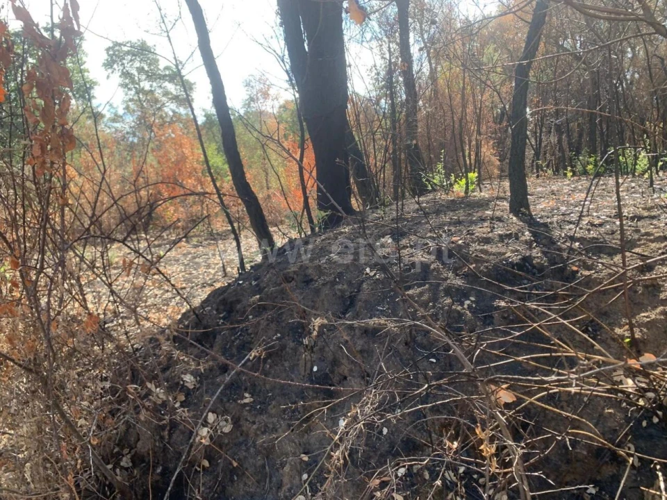 Terreno para Venda em Telhado Foto 5